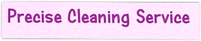 Precise Cleaning Service
