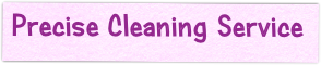 Precise Cleaning Service